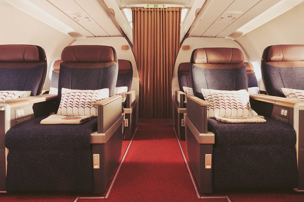 AIR INDIA (directors cut)