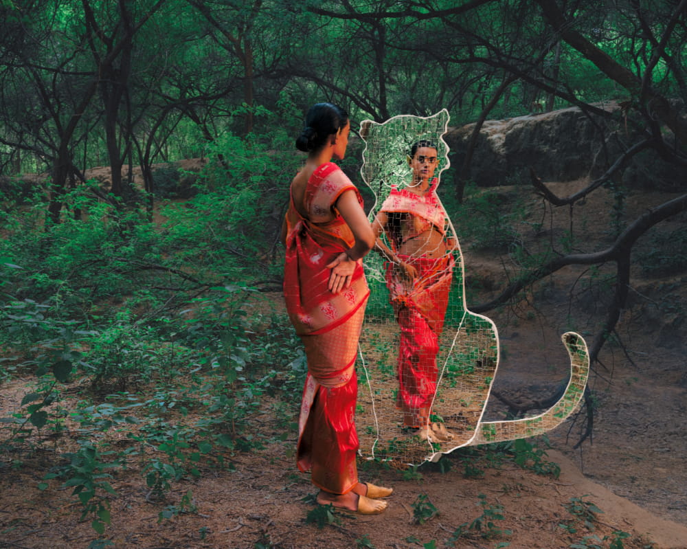 Shanti Banaras – ROAR