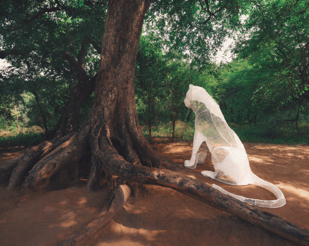 Shanti Banaras – ROAR